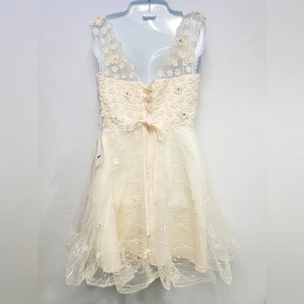 TS COUTURE Women's Size 2/4 Sleeveless Dress, Lined, Tulle skirt, Embroi…